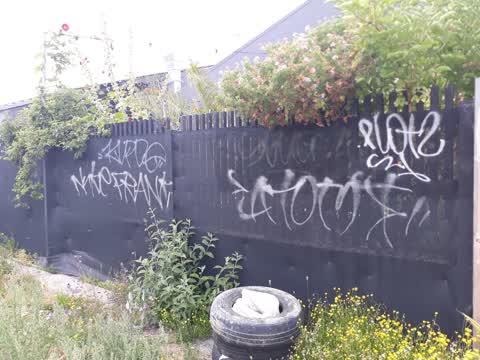 Graffiti, a report photo