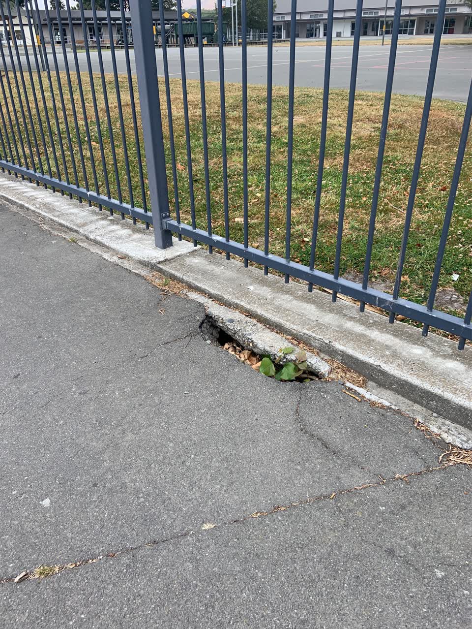 The photograph attached to this roading/streets report