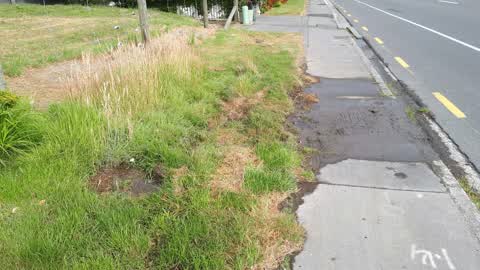 Water Supply — a report photo