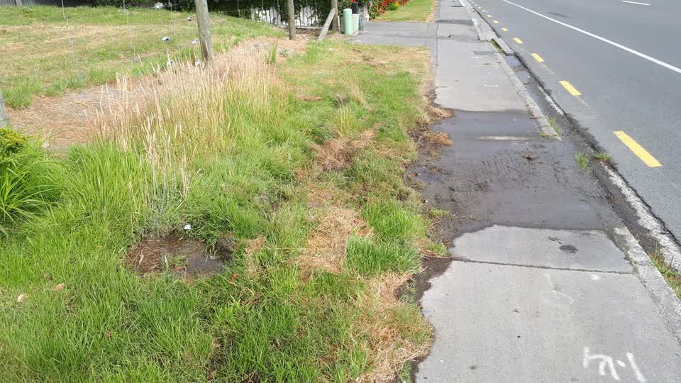 The photograph attached to this water supply report