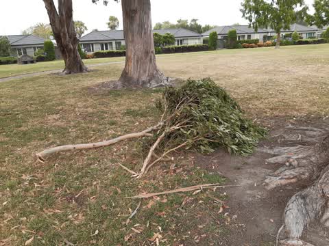 Parks, a report photo
