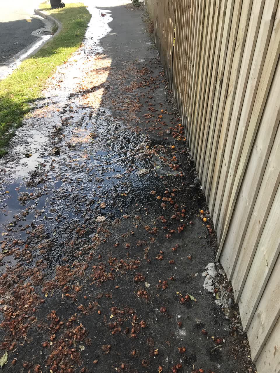 The photograph attached to this water supply report