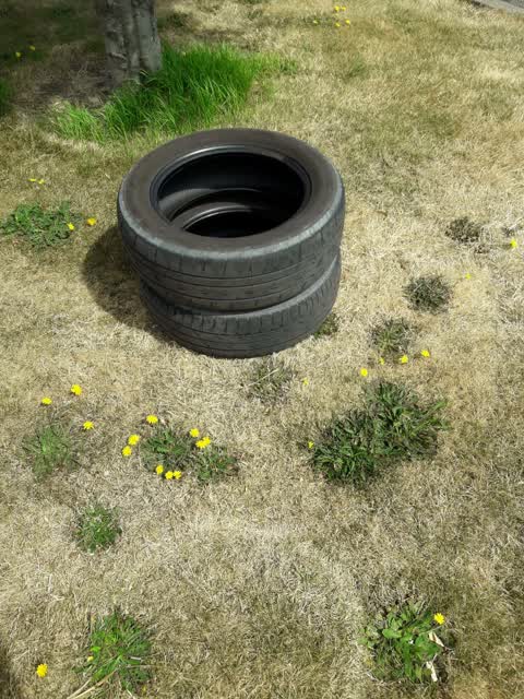 Rubbish/Recycling, a report photo