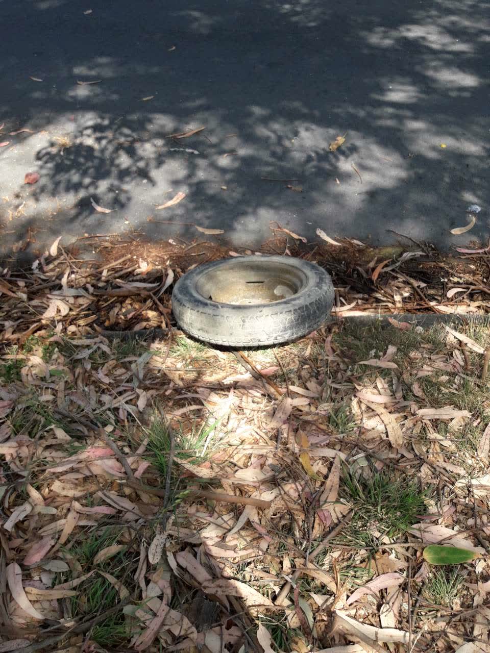 The photograph attached to this rubbish/recycling report