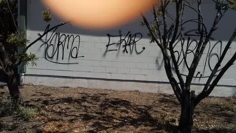 Graffiti — a report photo