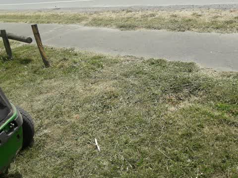 Parks, a report photo