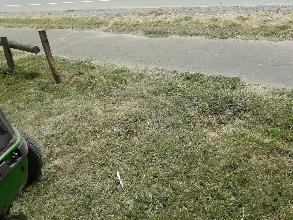The photograph attached to this parks report
