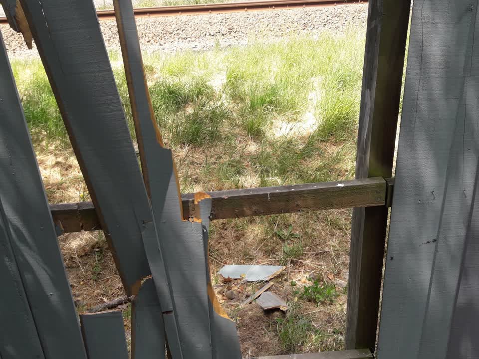 The photograph attached to this parks report