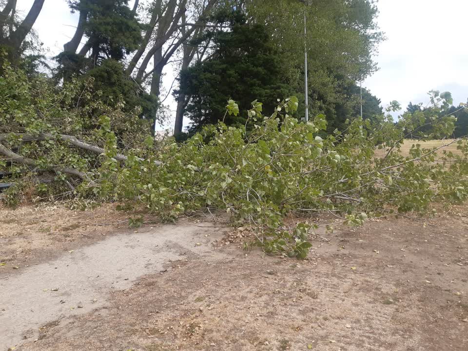 The photograph attached to this parks report
