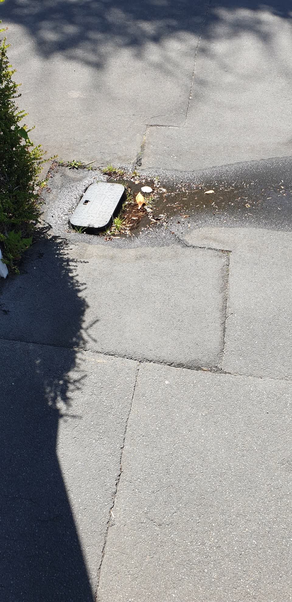 The photograph attached to this water supply report
