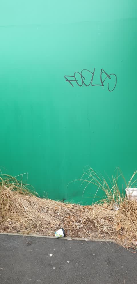 Graffiti — a report photo