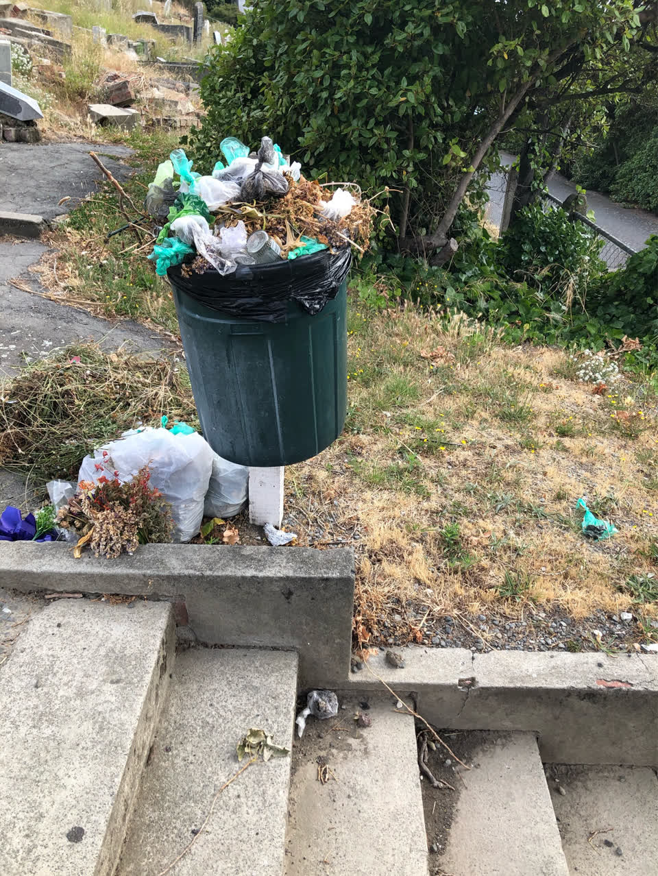 The photograph attached to this rubbish/recycling report