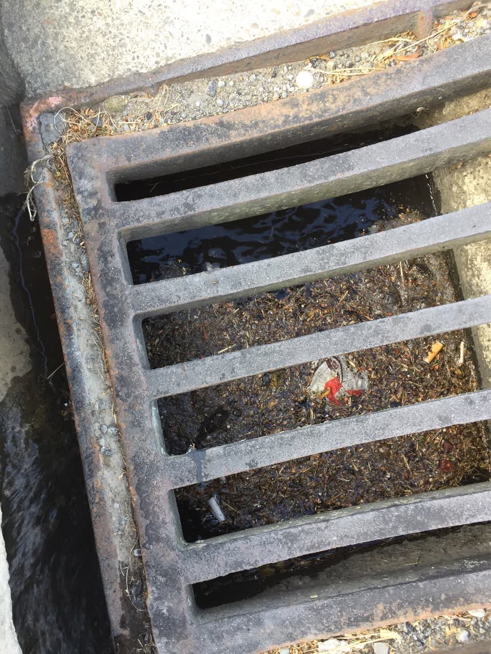 The photograph attached to this wastewater/stormwater report