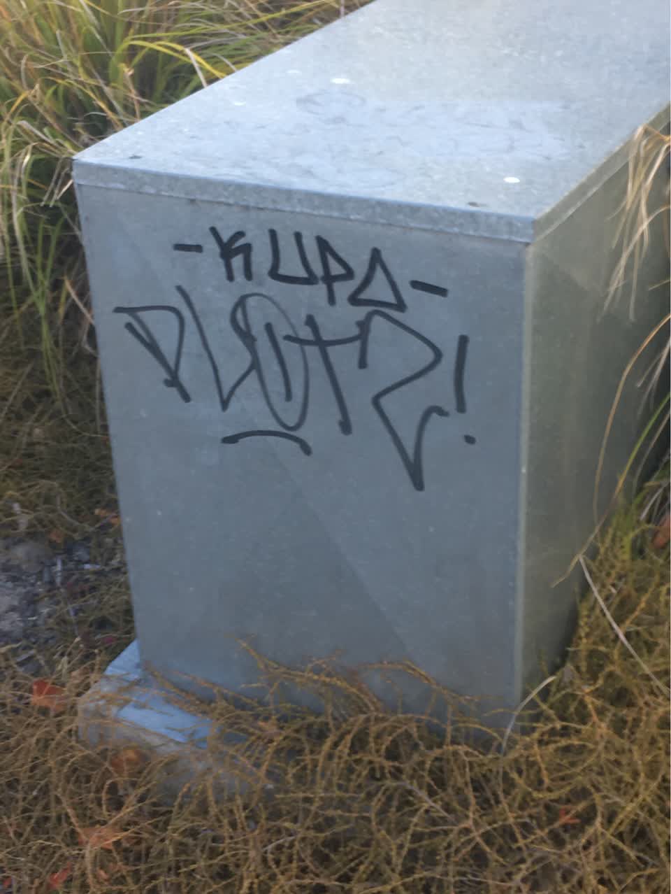 The photograph attached to this graffiti report