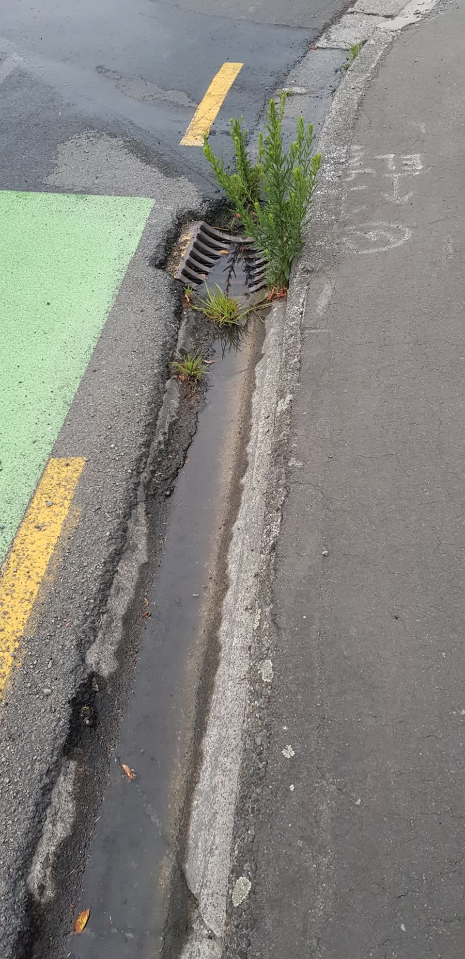 The photograph attached to this flooding report