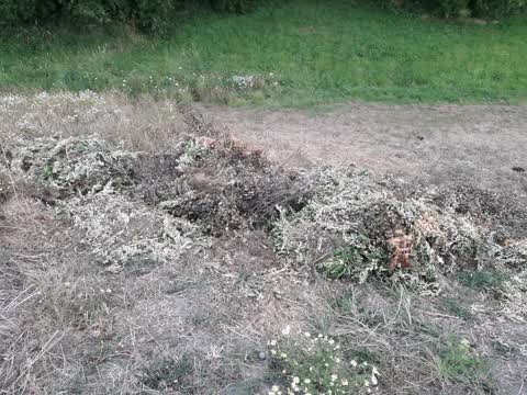 Rubbish/Recycling, a report photo