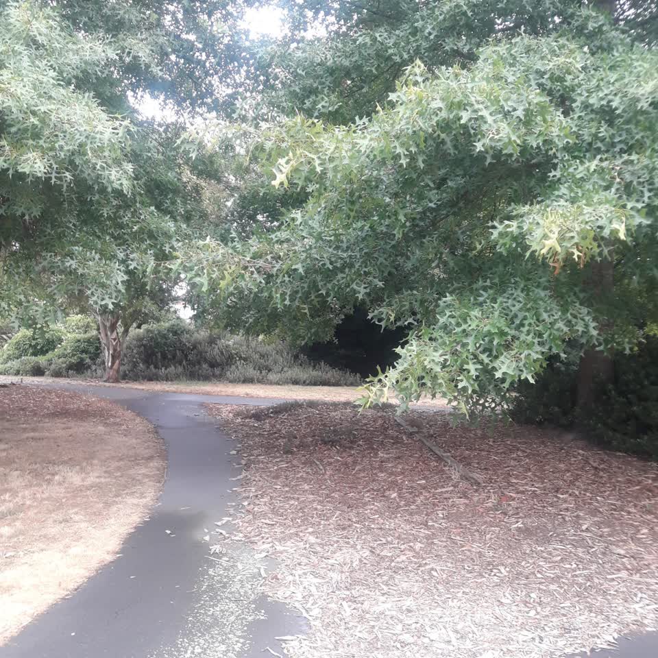 The photograph attached to this parks report