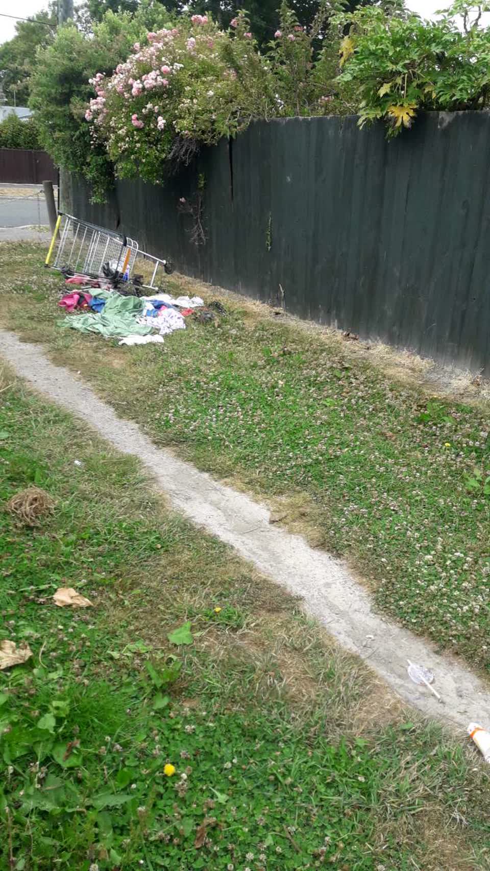 The photograph attached to this parks report