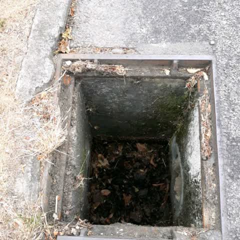 Wastewater/Stormwater, a report photo