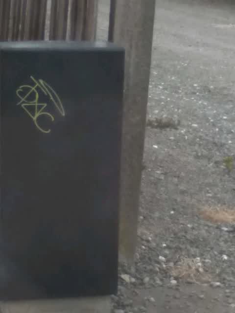 Graffiti, a report photo