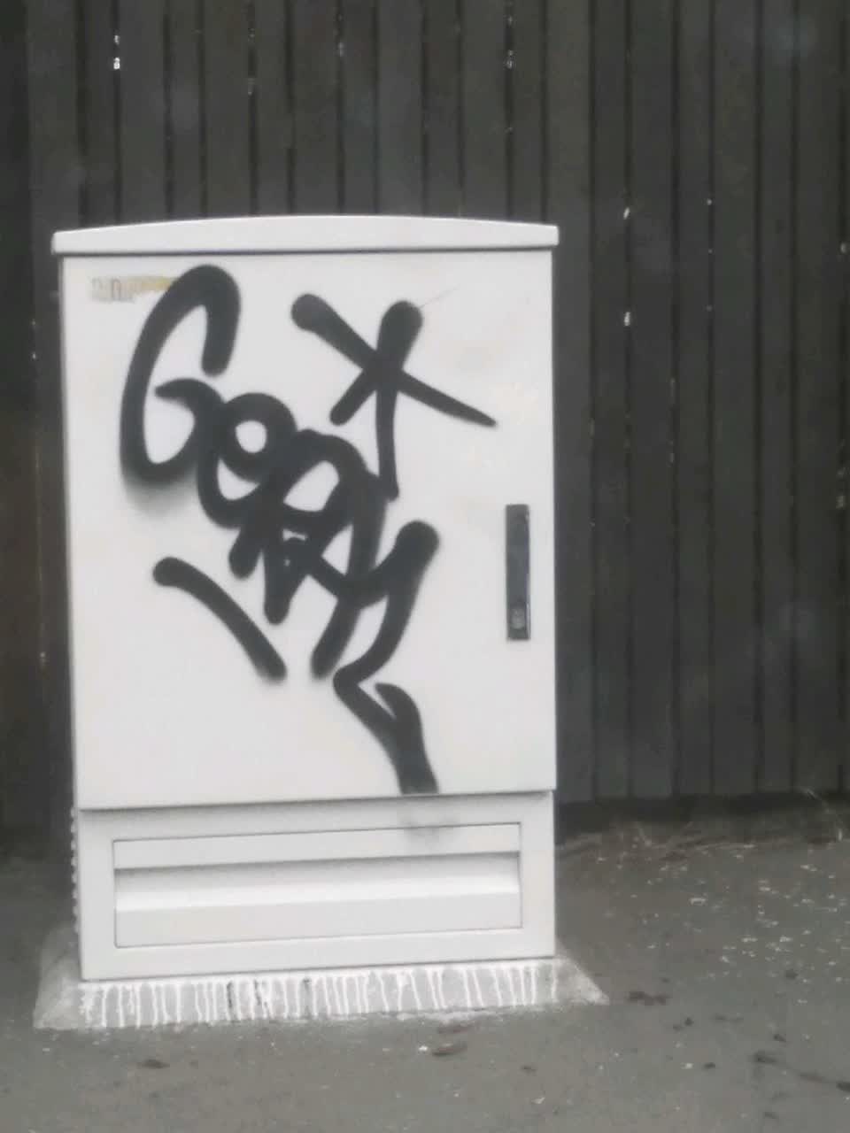 The photograph attached to this graffiti report