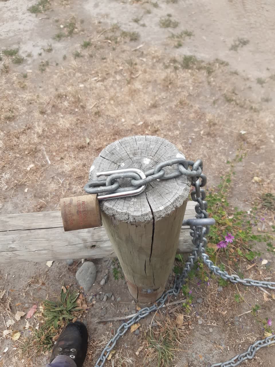 The photograph attached to this parks report