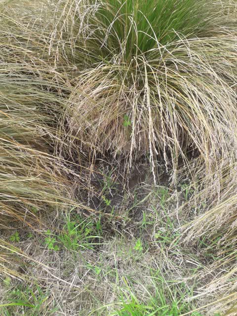 Wastewater/Stormwater, a report photo