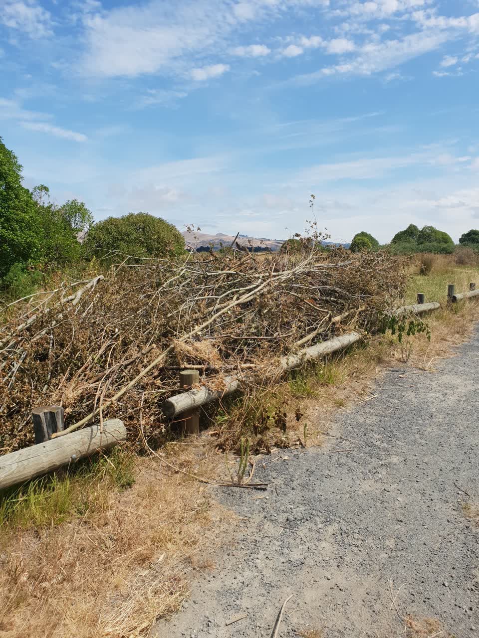 The photograph attached to this parks report