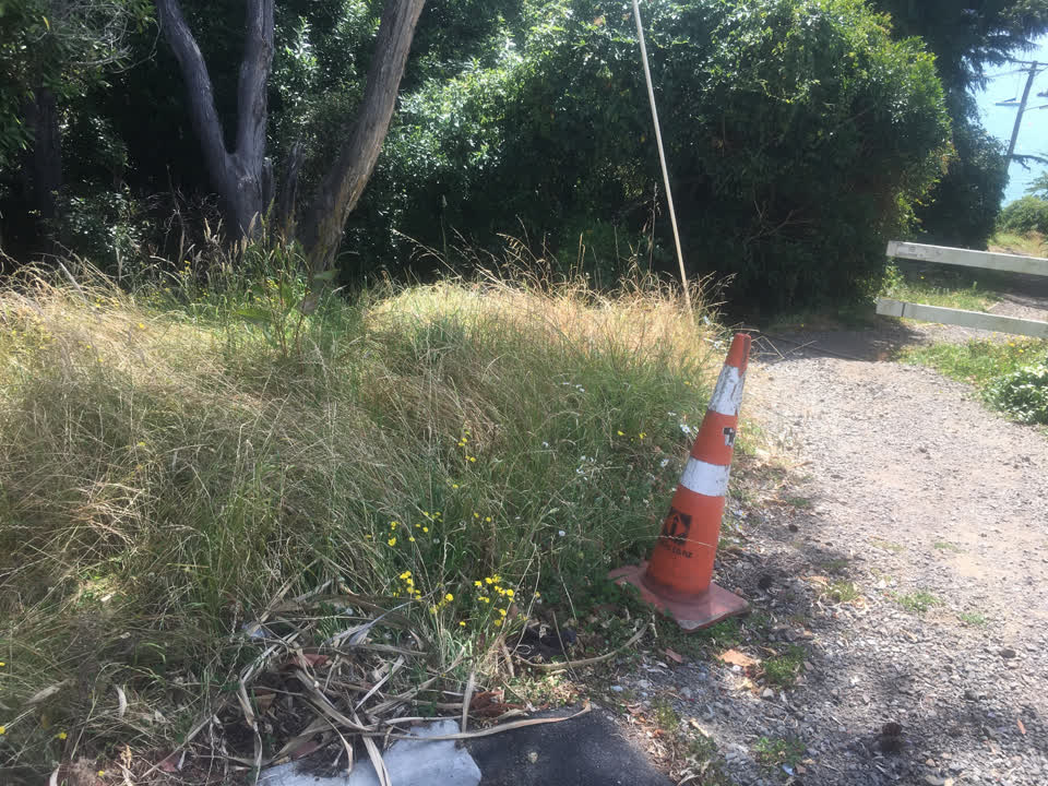 The photograph attached to this parks report