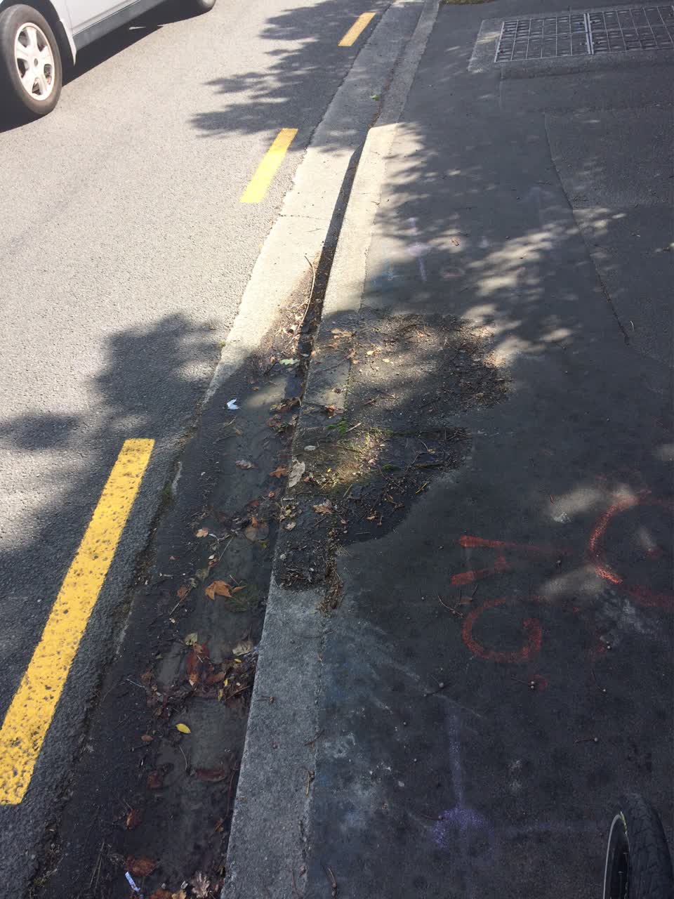 The photograph attached to this water supply report