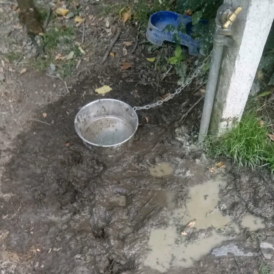 The photograph attached to this flooding report