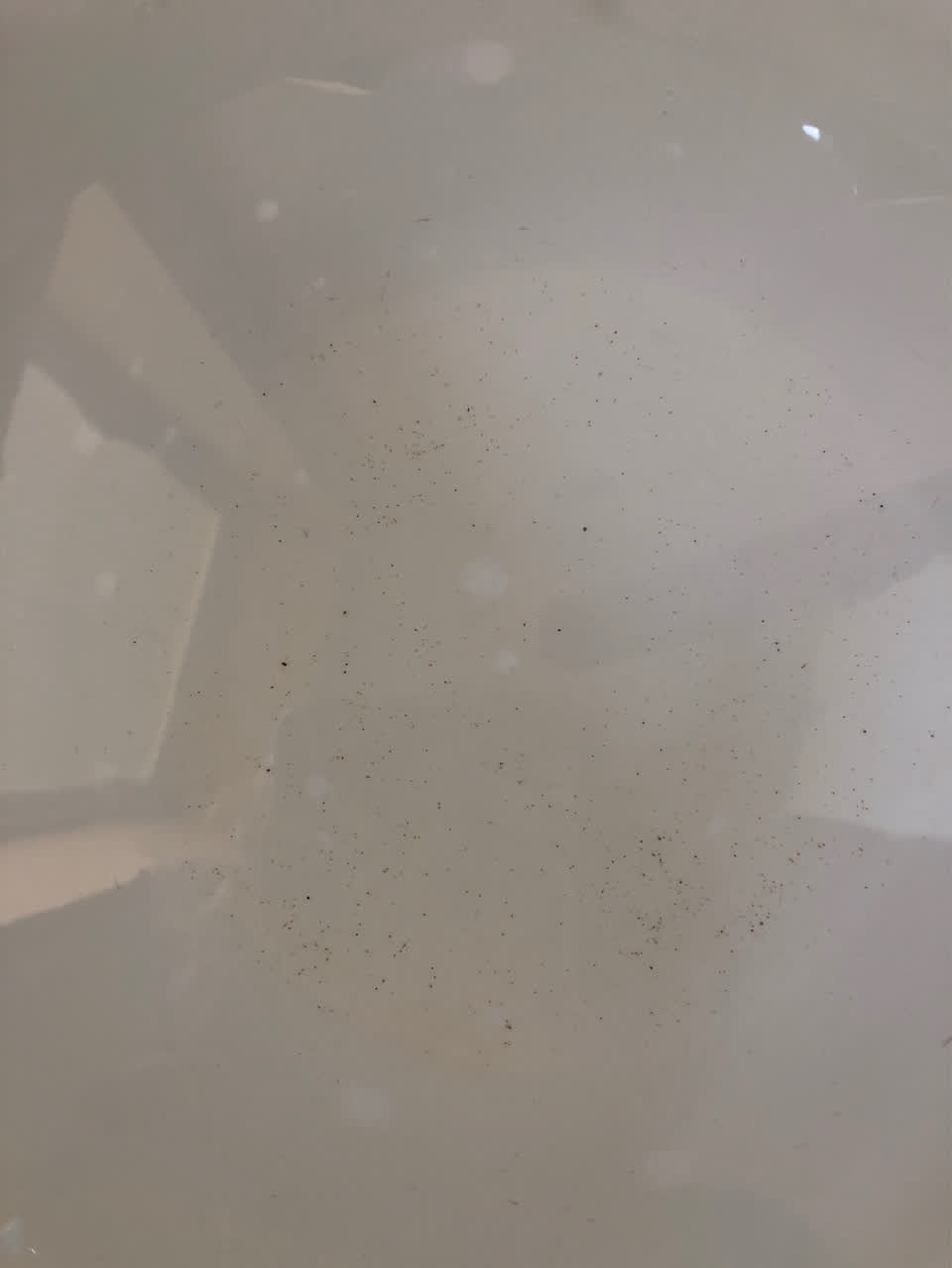The photograph attached to this water supply report