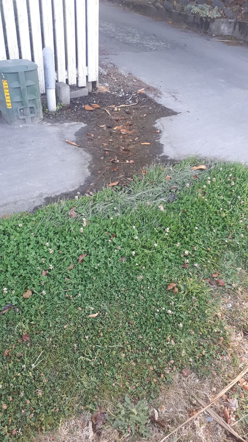 The photograph attached to this water supply report