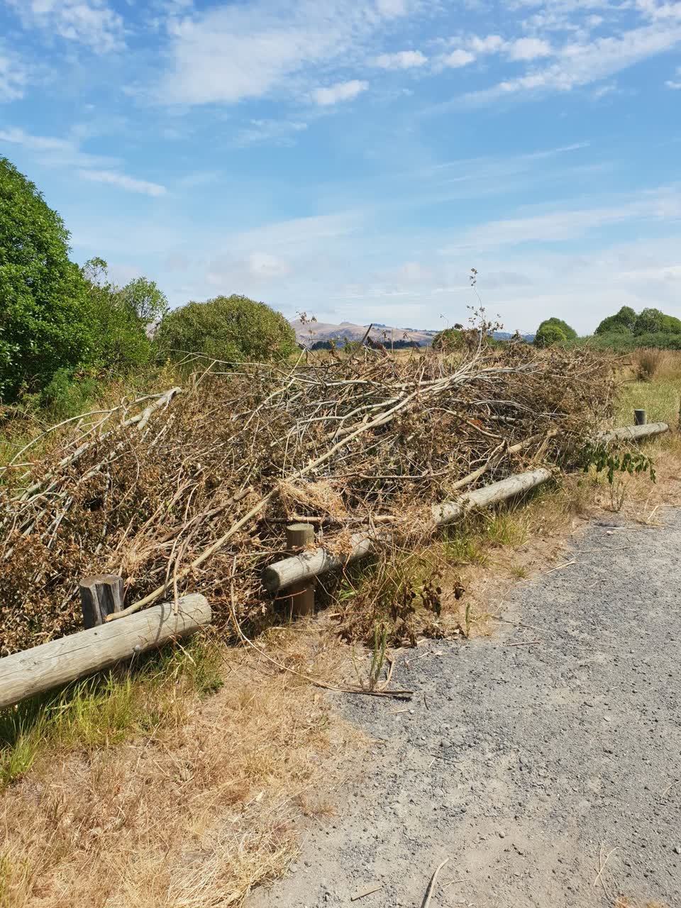 The photograph attached to this parks report