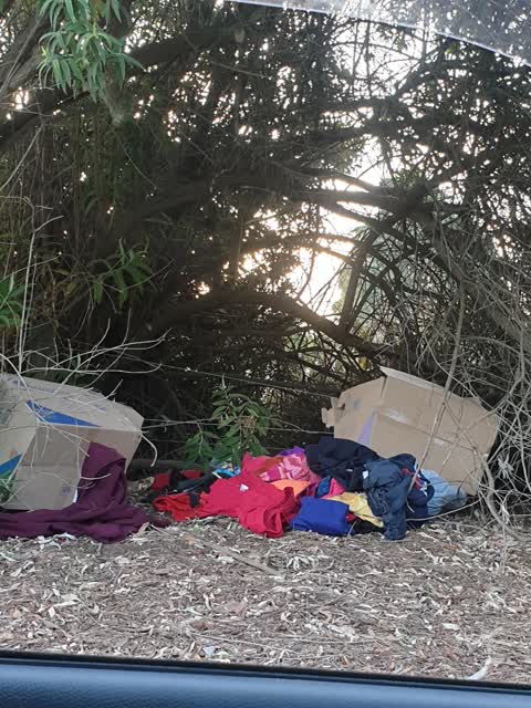 Rubbish/Recycling, a report photo