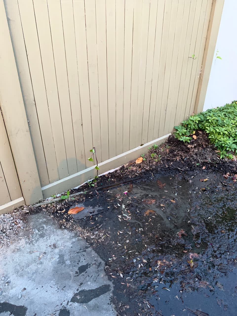 The photograph attached to this water supply report