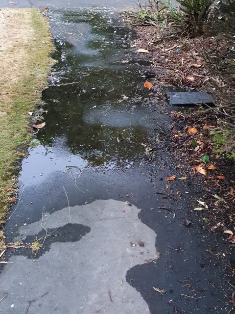 Water Supply, a report photo