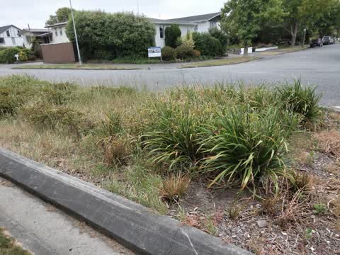 Roading/Streets, a report photo
