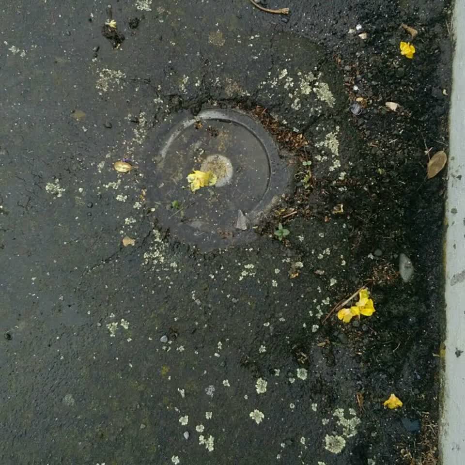 The photograph attached to this water supply report
