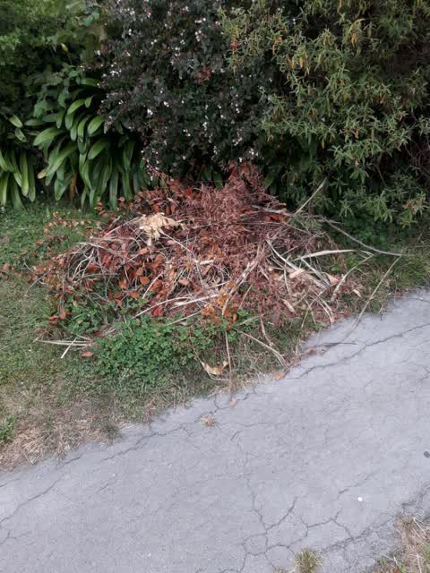 Parks, a report photo