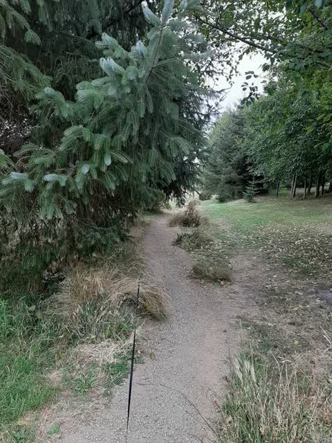 Parks, a report photo