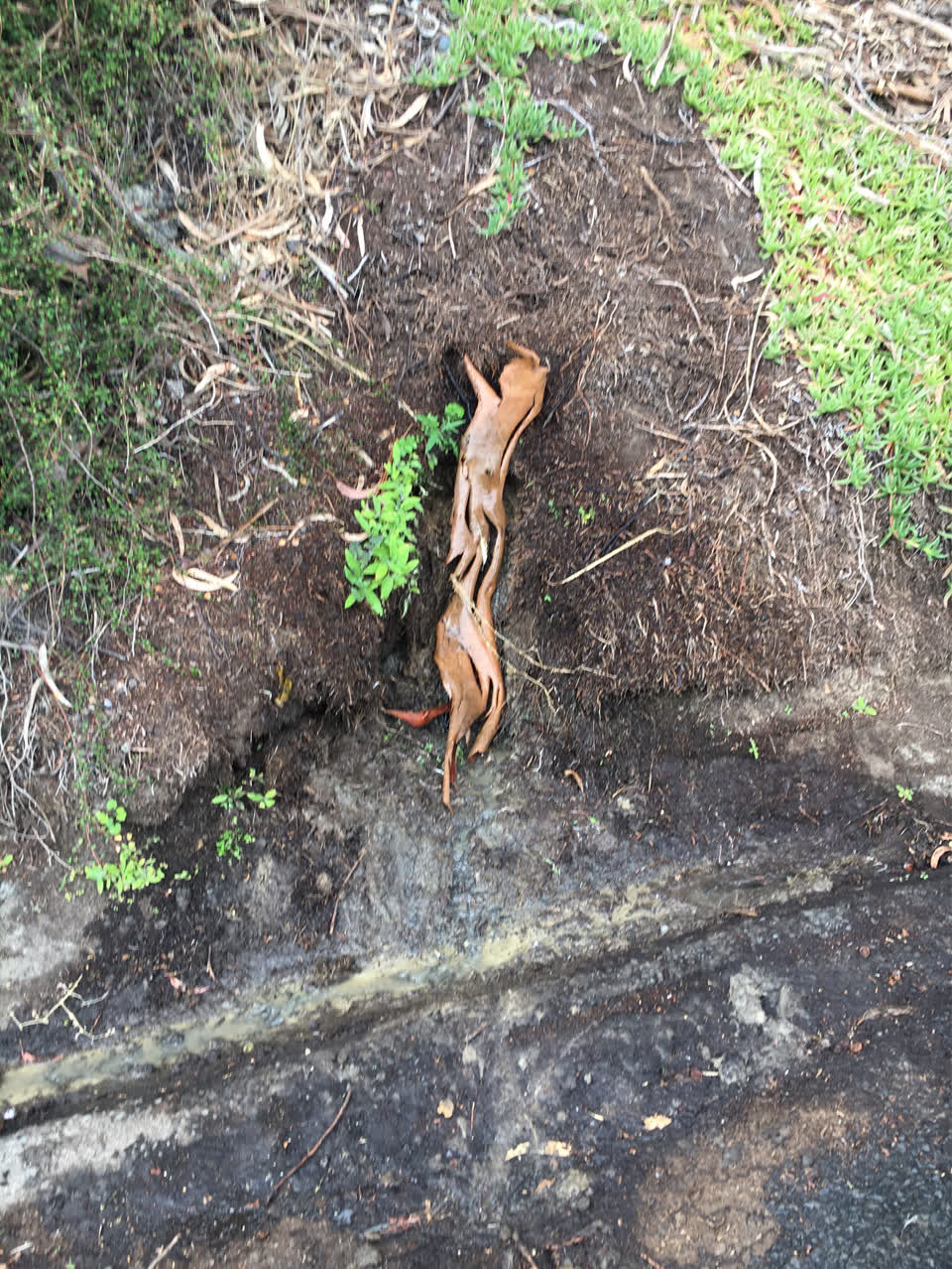 The photograph attached to this water supply report