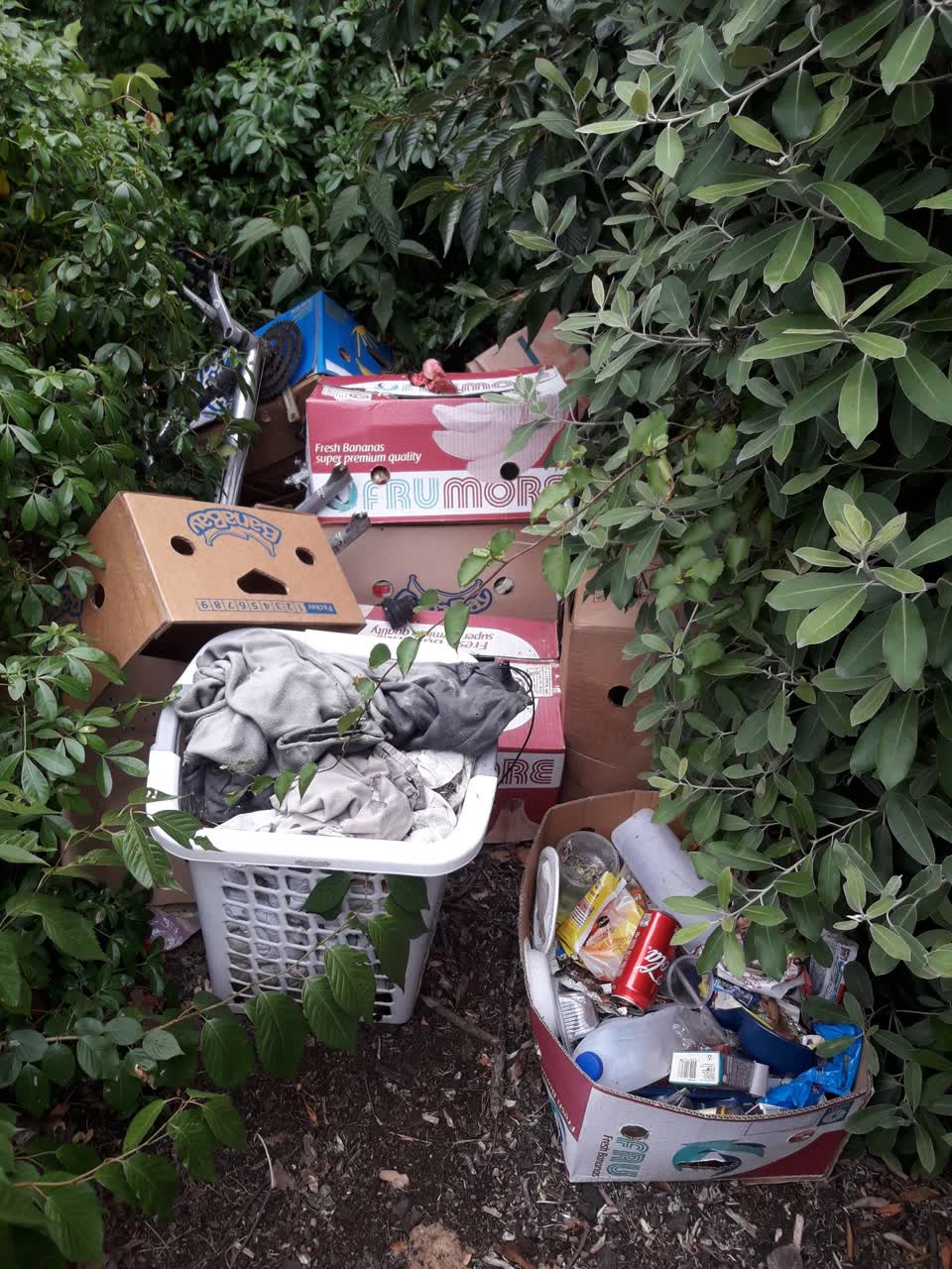 The photograph attached to this rubbish/recycling report