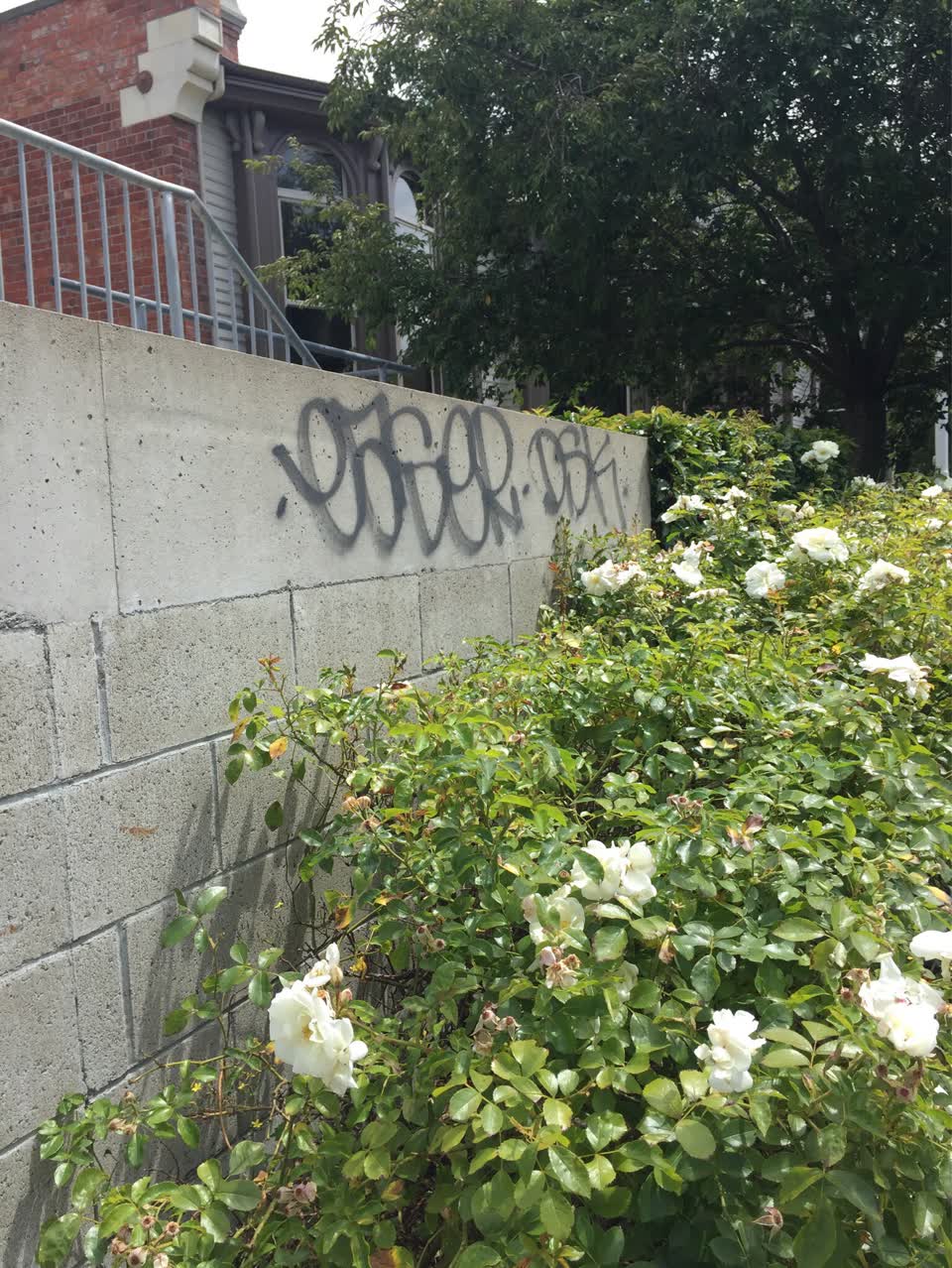 The photograph attached to this graffiti report