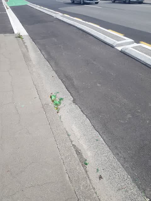 Roading/Streets, a report photo