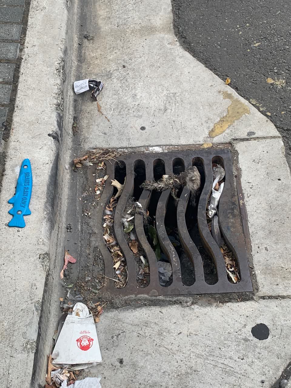 The photograph attached to this wastewater/stormwater report