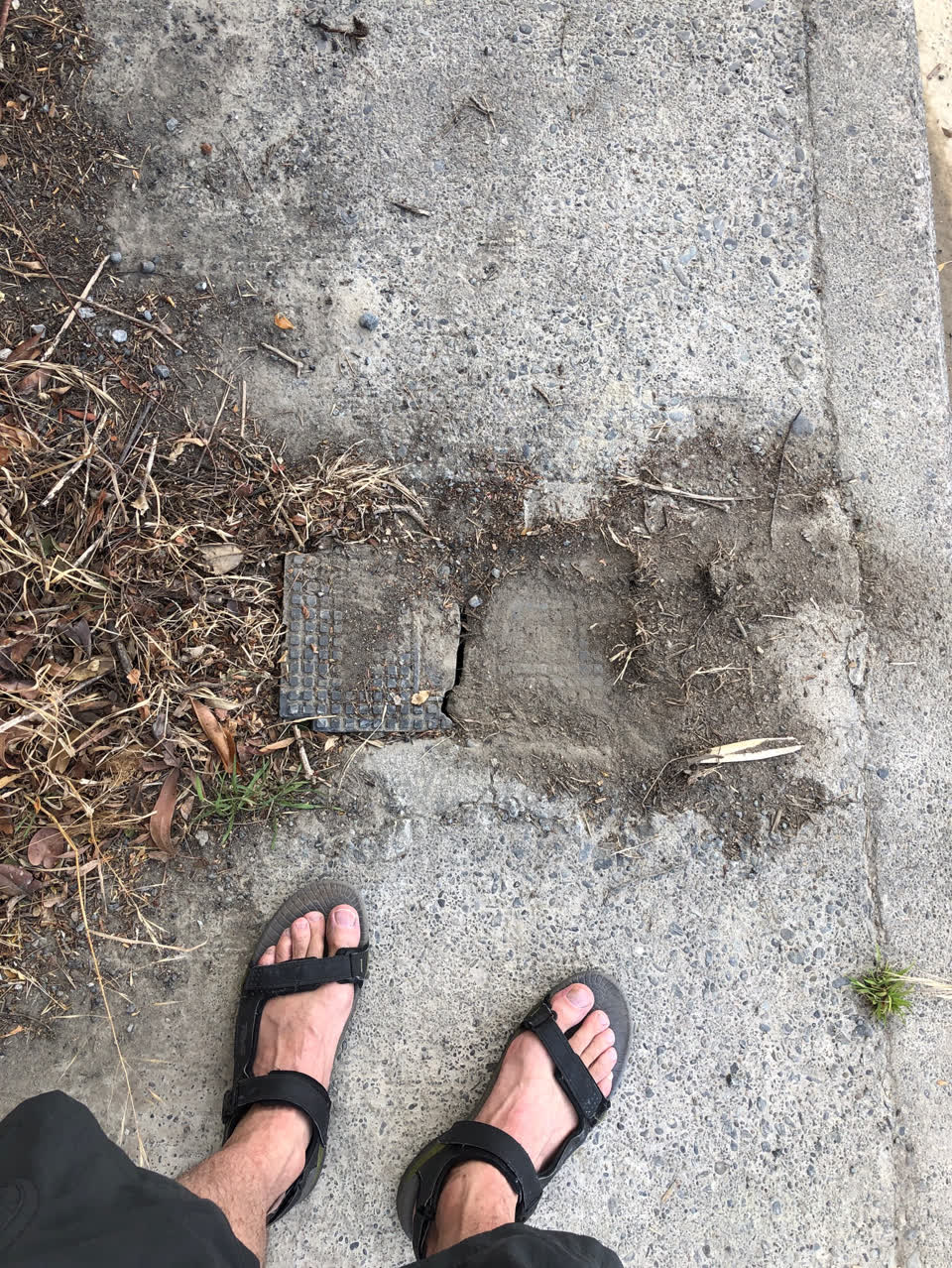 The photograph attached to this water supply report