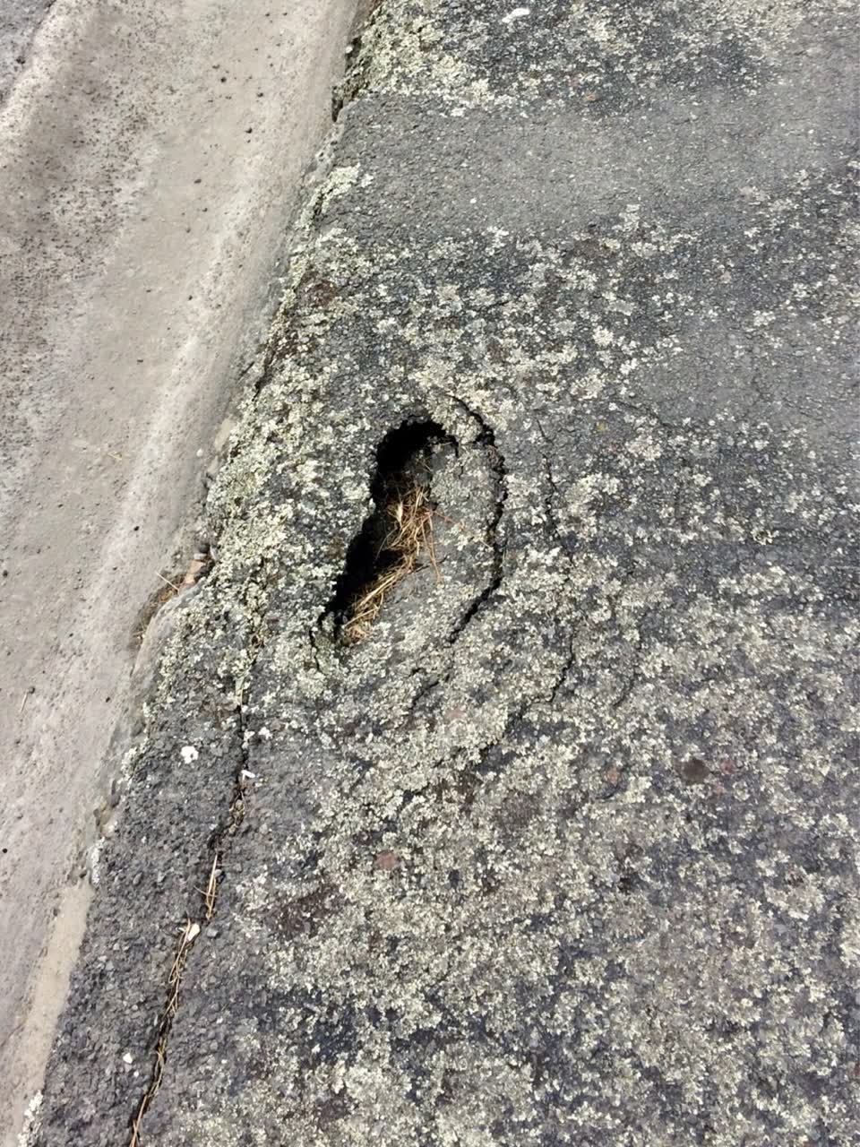 The photograph attached to this roading/streets report