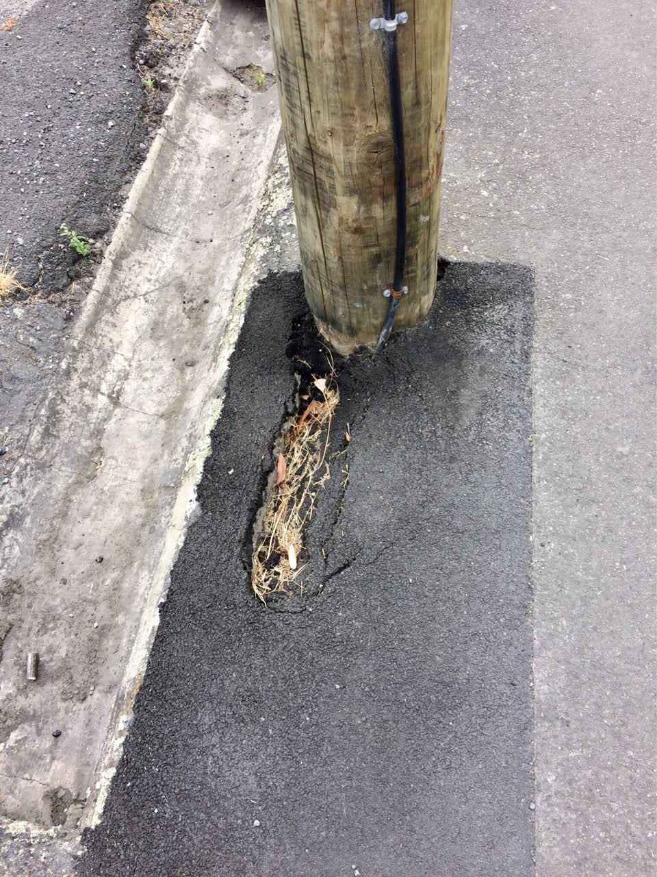 The photograph attached to this roading/streets report