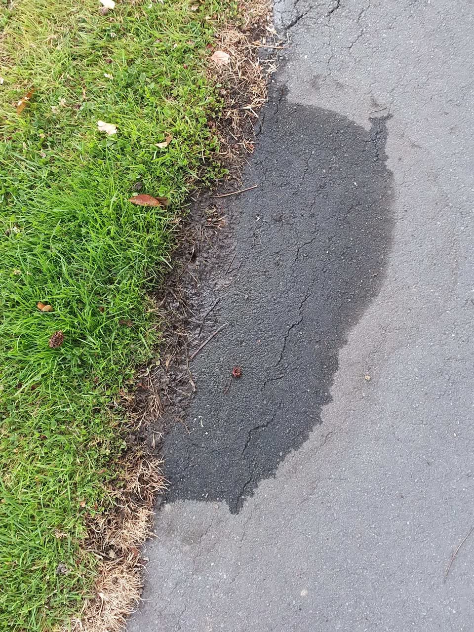 The photograph attached to this water supply report
